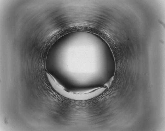 X0000094941062200712201110