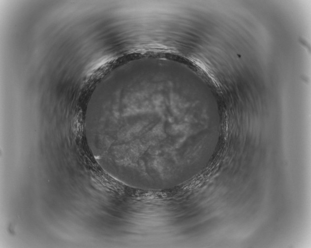 X0000094941063200712201110