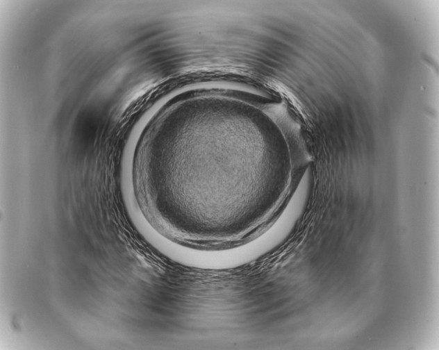 X0000094941064200712201110