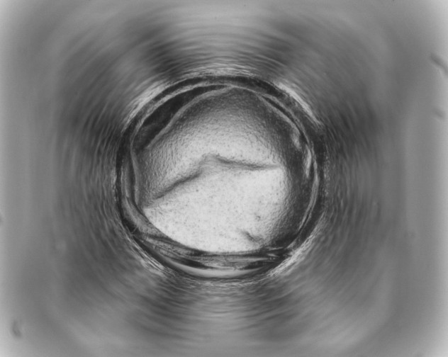 X0000094941065200712201110