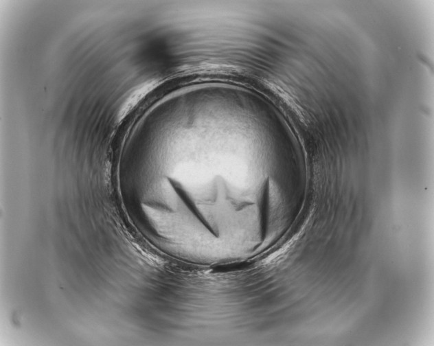 X0000094941066200712201110