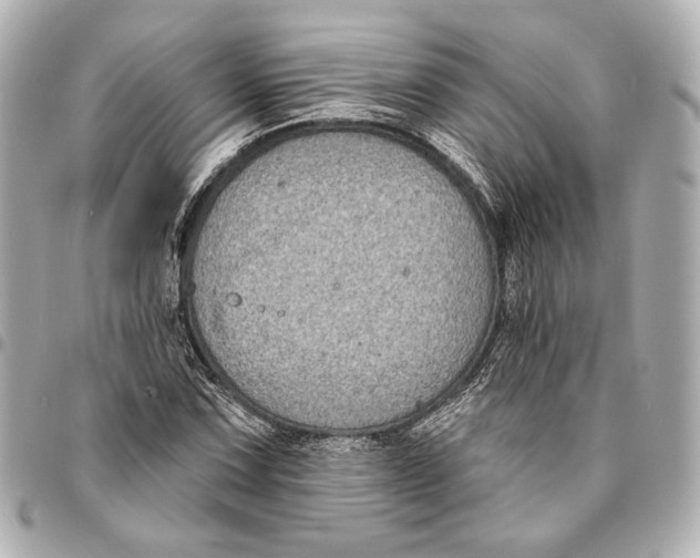 X0000094941067200712201110