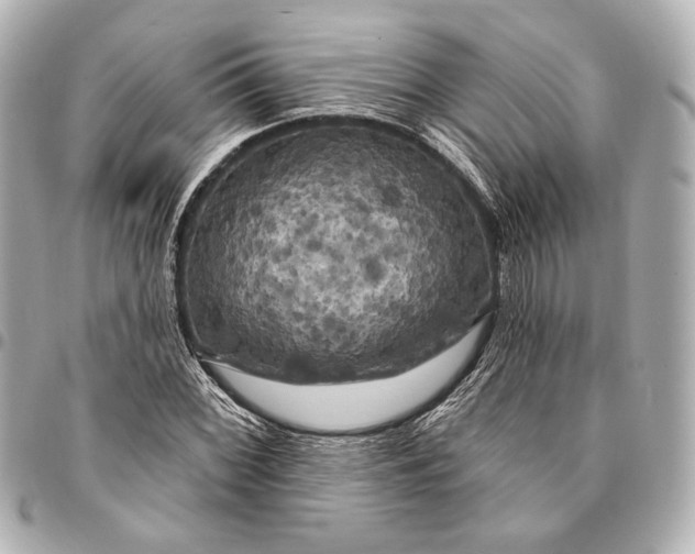 X0000094941068200712201110