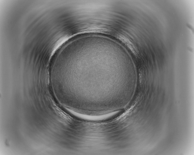 X0000094941069200712201110