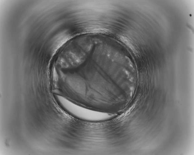 X0000094941071200712201110