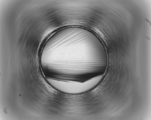 X0000094941072200712201110