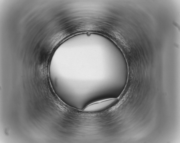 X0000094941073200712201110