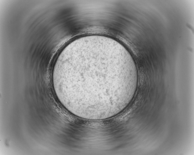 X0000094941074200712201110