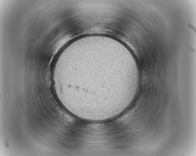 X0000094941075200712201110