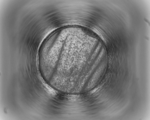 X0000094941076200712201110