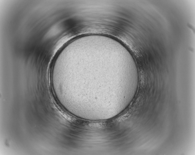 X0000094941078200712201110