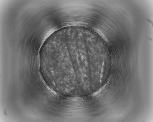 X0000094941079200712201110