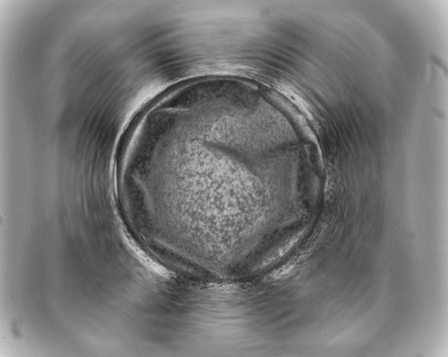 X0000094941080200712201109