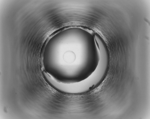 X0000094941081200712201109