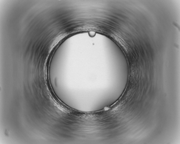 X0000094941082200712201109