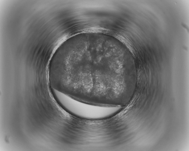 X0000094941083200712201109