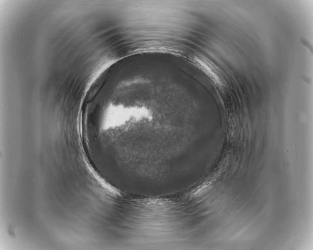 X0000094941084200712201109