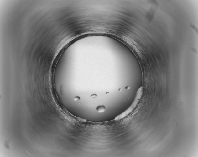 X0000094941085200712201109