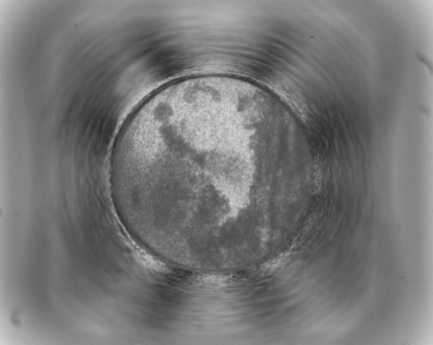 X0000094941086200712201109