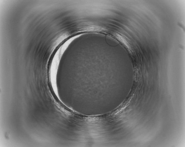 X0000094941087200712201109