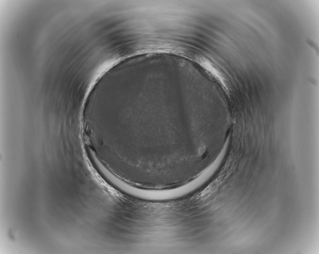 X0000094941088200712201109