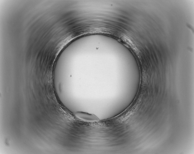 X0000094941089200712201109