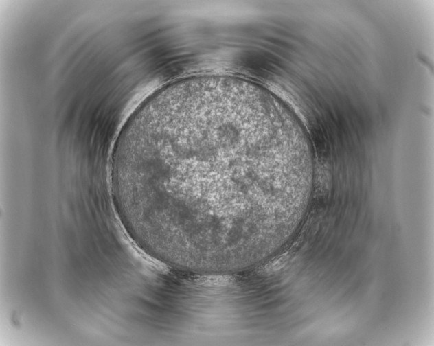 X0000094941090200712201109