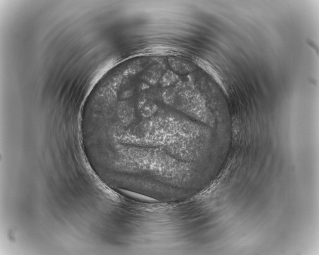 X0000094941091200712201109