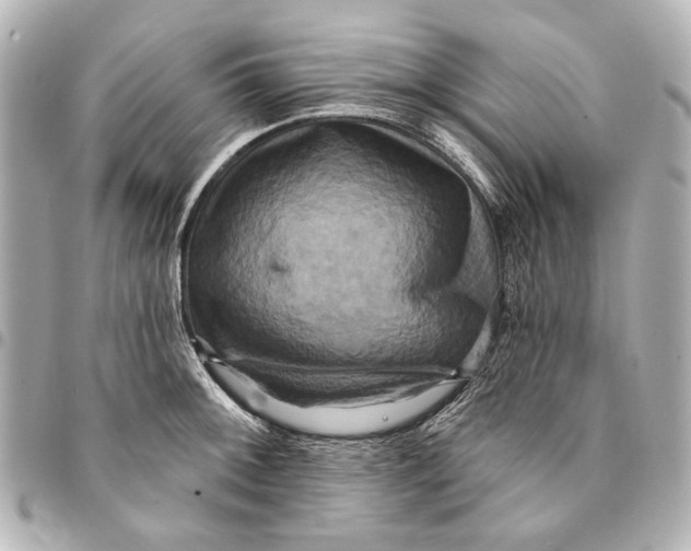 X0000094941092200712201109