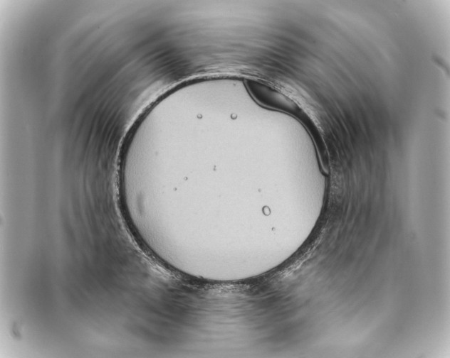 X0000094941093200712201109