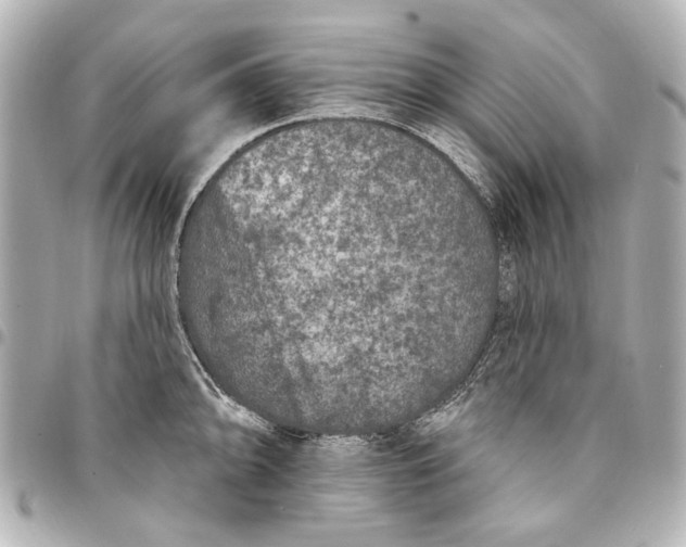 X0000094941094200712201109