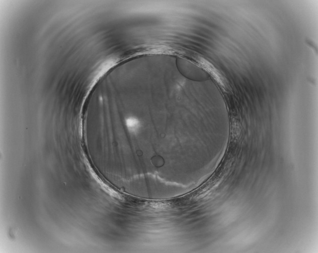 X0000094941095200712201109