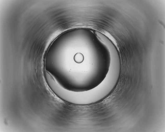 X0000094941096200712201109