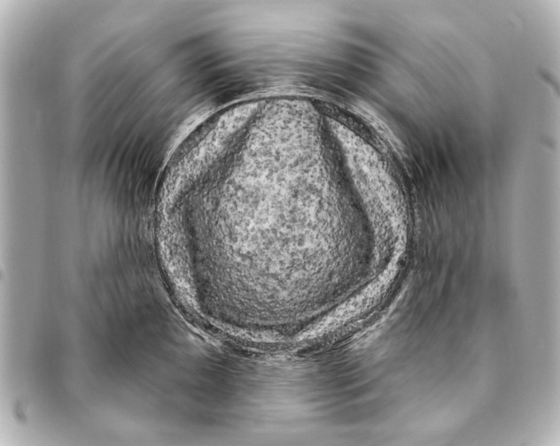 X0000094941097200712201109