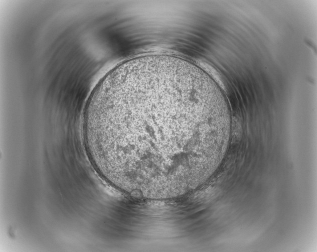 X0000094941098200712201109