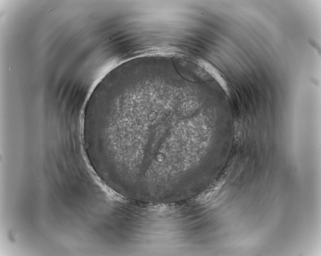 X0000094941099200712201109