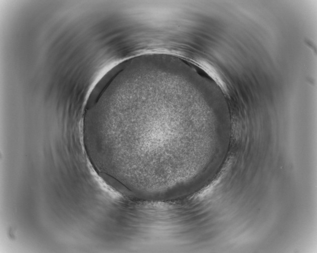 X0000094941100200712201109