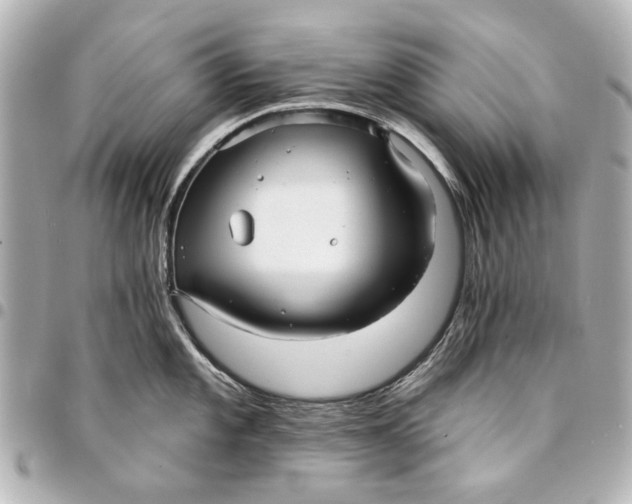 X0000094941101200712201109