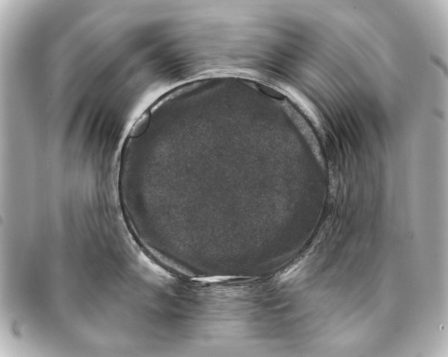 X0000094941102200712201109