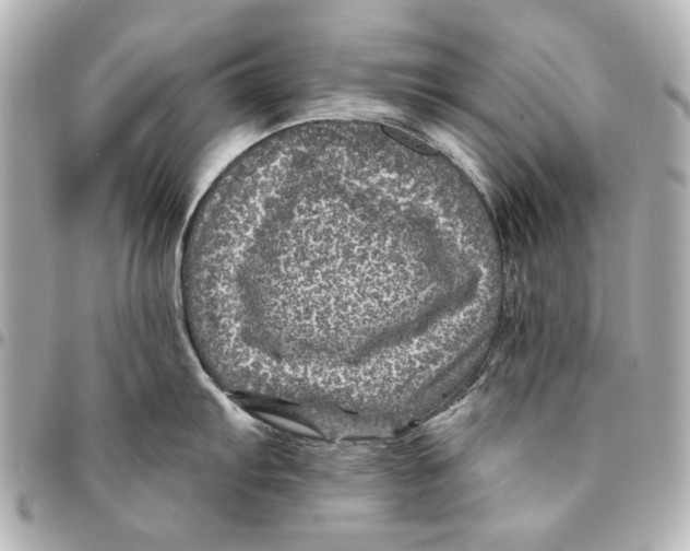 X0000094941103200712201109