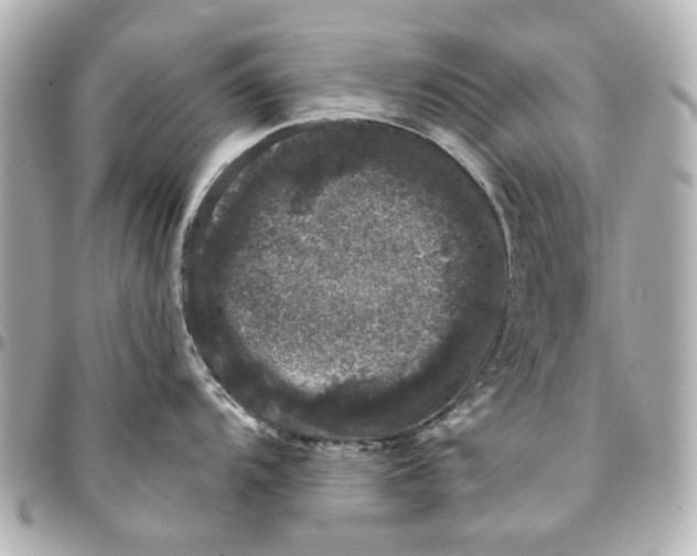 X0000094941104200712201109