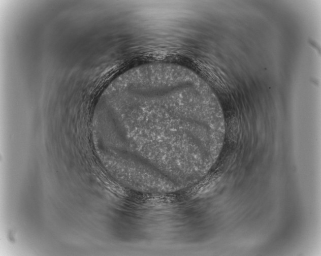 X0000094941105200712201109