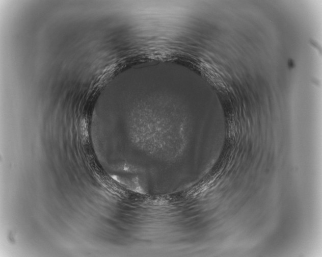 X0000094941106200712201109