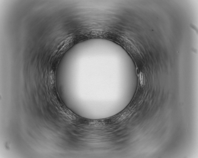 X0000094941107200712201109