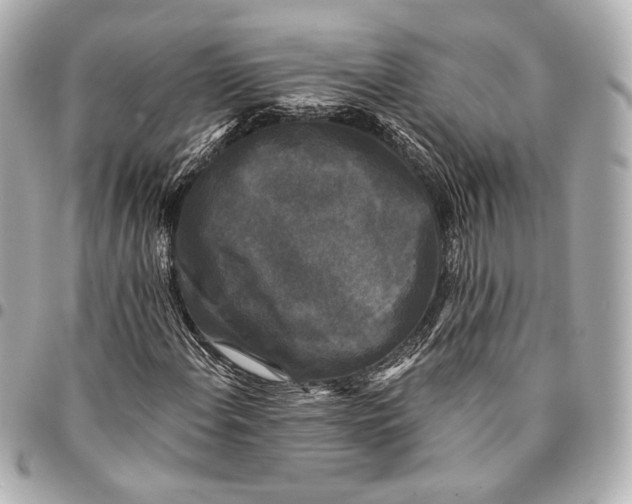 X0000094941108200712201109