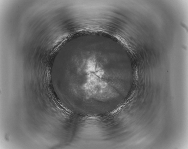 X0000094941110200712201109