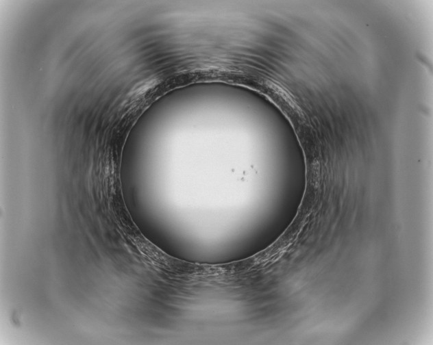 X0000094941111200712201109