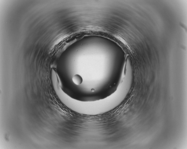 X0000094941112200712201109