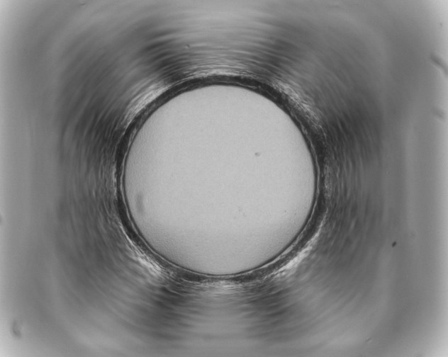 X0000094941113200712201109