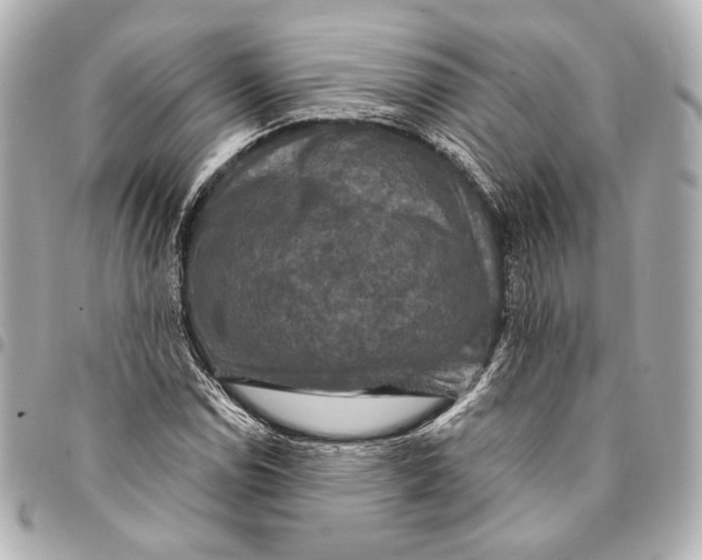 X0000094941114200712201109